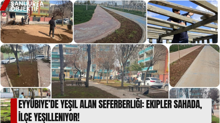 Eyyûbiye’de Yeşil Alan Seferberliği: Ekipler Sahada, İlçe Yeşilleniyor!