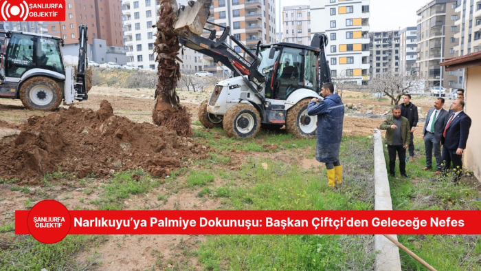 Narlıkuyu’ya Palmiye Dokunuşu: Başkan Çiftçi’den Geleceğe Nefes