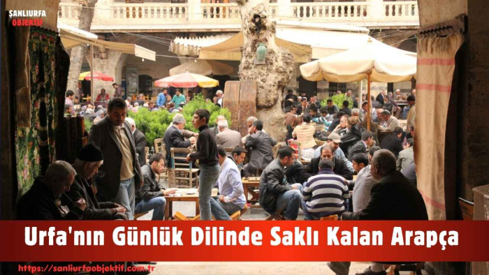 Urfa'nın Günlük Dilinde Saklı Kalan Arapça