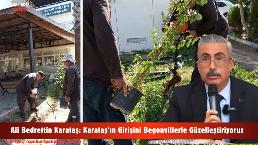 Ali Bedrettin Karataş: Karataş’ın Girişini Begonvillerle Güzelleştiriyoruz