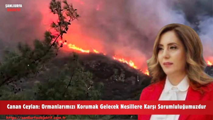 Canan Ceylan: Ormanlarımızı Korumak Gelecek Nesillere Karşı Sorumluluğumuzdur