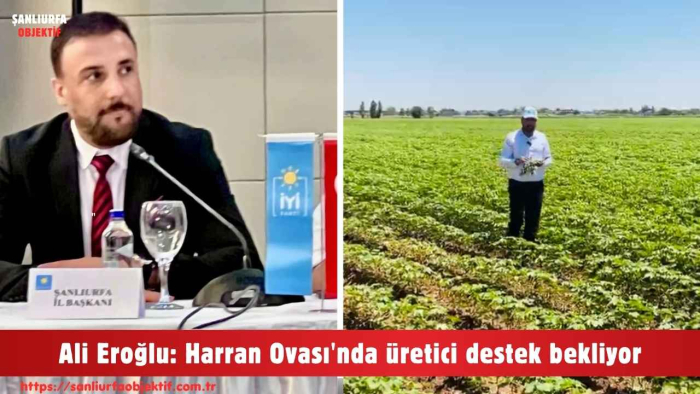Ali Eroğlu: Harran Ovası'nda üretici destek bekliyor