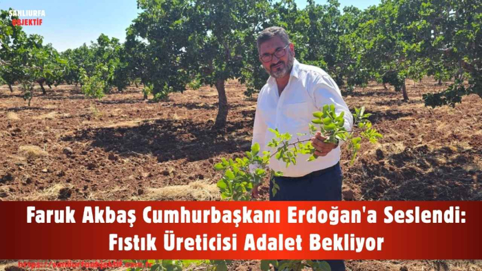 Faruk Akbaş Cumhurbaşkanı Erdoğan'a Seslendi: Fıstık Üreticisi Adalet Bekliyor