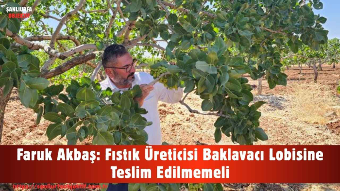 Faruk Akbaş: Fıstık Üreticisi Baklavacı Lobisine Teslim Edilmemeli