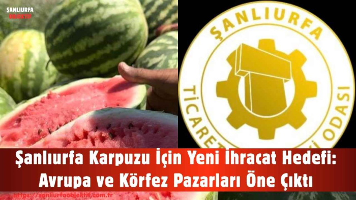 Şanlıurfa Karpuzu İçin Yeni İhracat Hedefi: Avrupa ve Körfez Pazarları Öne Çıktı