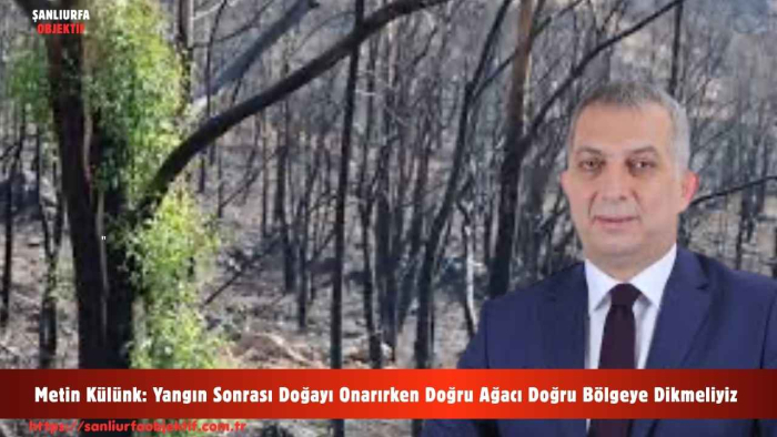 Metin Külünk: Yangın Sonrası Doğayı Onarırken Doğru Ağacı Doğru Bölgeye Dikmeliyiz