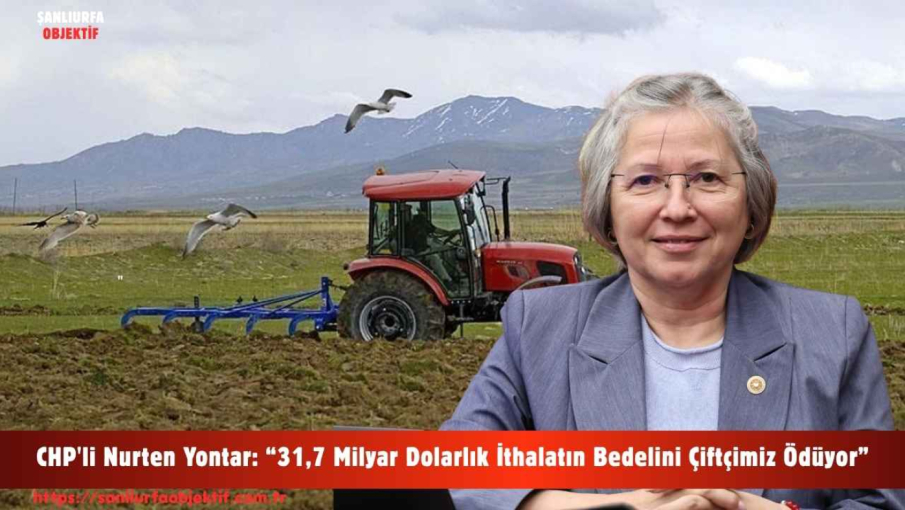 CHP'li Nurten Yontar: “31,7 Milyar Dolarlık İthalatın Bedelini Çiftçimiz Ödüyor”