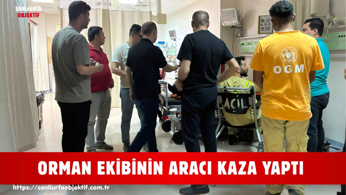 ORMAN EKİBİNİN ARACI KAZA YAPTI