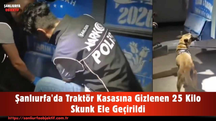 Şanlıurfa'da Traktör Kasasına Gizlenen 25 Kilo Skunk Ele Geçirildi