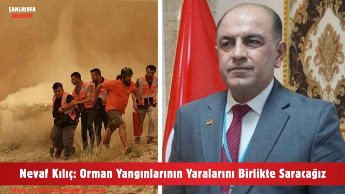 Nevaf Kılıç: Orman Yangınlarının Yaralarını Birlikte Saracağız
