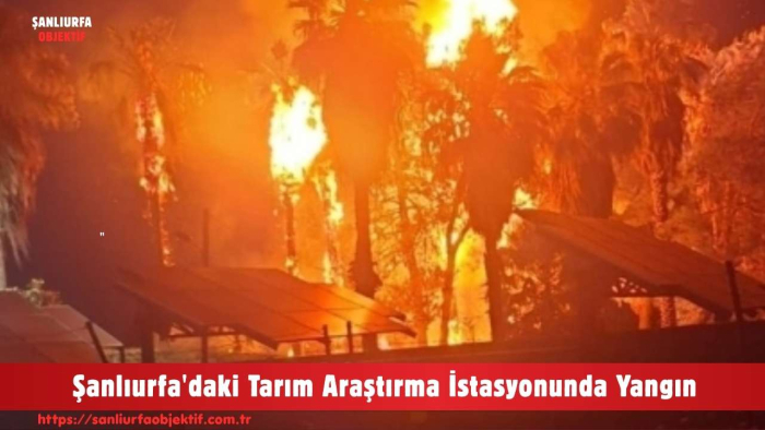 Şanlıurfa'daki Tarım Araştırma İstasyonunda Yangın