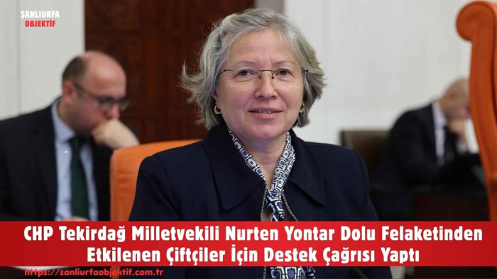 CHP Tekirdağ Milletvekili Nurten Yontar Dolu Felaketinden Etkilenen Çiftçiler İçin Destek Çağrısı Yaptı