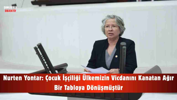 Nurten Yontar: Çocuk İşçiliği Ülkemizin Vicdanını Kanatan Ağır Bir Tabloya Dönüşmüştür